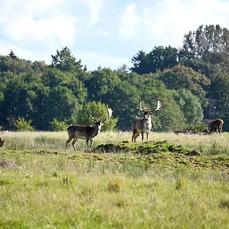 Home- Nearby Free Waterpark Access 別荘